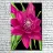 A small picture of Acrylic Ink Paper