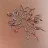 A small picture of Slip