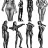 A small picture of Type Anatomy Resources